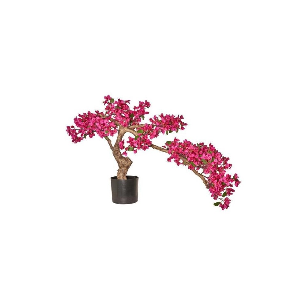 BONSAI BOUNGAVILLEA 120X70CM